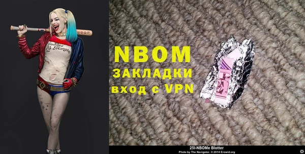 индика Наволоки