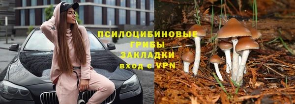 метадон Надым