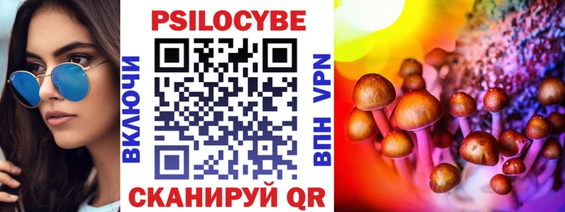 Галлюциногенные грибы Cubensis  Купить где  Новошахтинск 